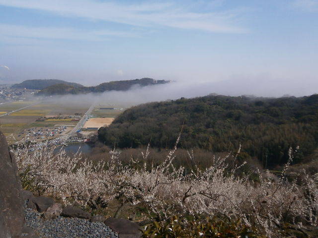 �V���q�C�݂��痬���C��_�����R�~��