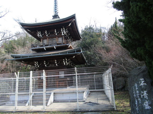 ��d�̓�_���˂̐��ˌ���