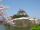kjさんの岸和田城への投稿写真3