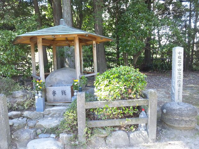 ����̒��R