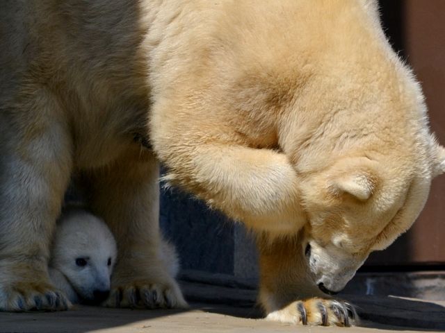 ���������e�q�f�r���[�I��������񖢂� ���� �H�H�������ł��B_�~�R������