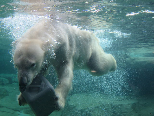 |^NŗVԃzbLNO}BɂĂ͌Ȃ܂B_؎RtWTL̓mis؎Rj