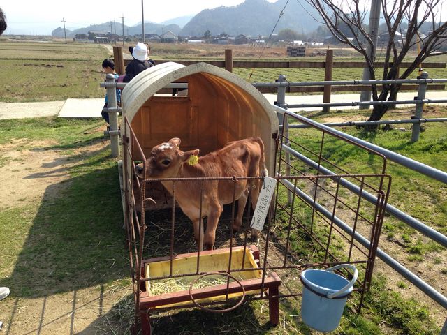 qB琬̒iKꂽ悤ȋC܂B_OW[W[q@~NH[@