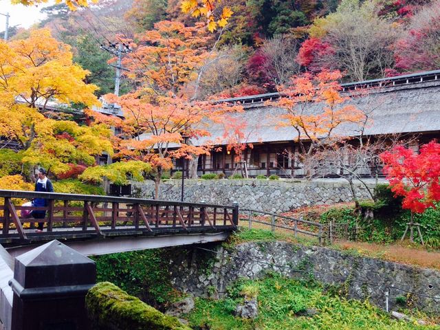 紅葉_大沢温泉