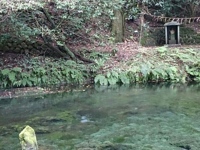 �r�R����