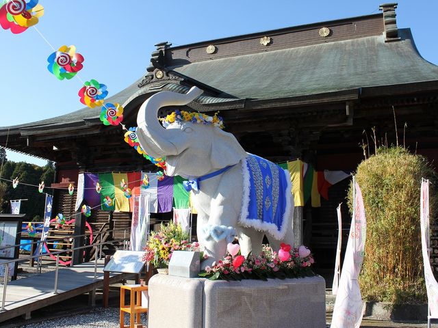 吉ゾウくんは、皆様の願いを叶え、幸せに導いてくれる幸福の象です。_長福寿寺