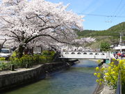 Ђ낳̔iΑ`̍̓eʐ^2