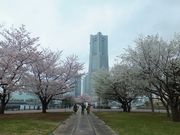 jR񂳂̋Dԓi`PEQERՍ`݁j̓eʐ^1