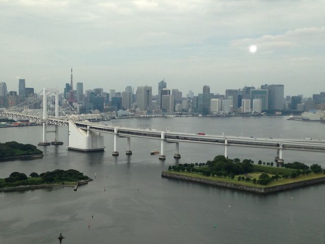 ��i�ł�_���C���{�[�u���b�W�V����