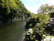 ܂Ђ낳̒Ґ삭̓eʐ^1