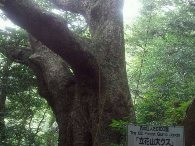 ܂̗ԎRNXmLт̓eʐ^1