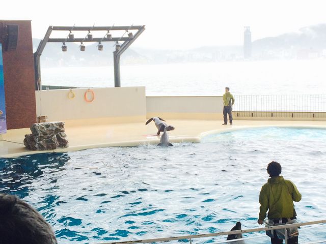 �C���J�̎w��_���֎s�������̂��������فE�C����