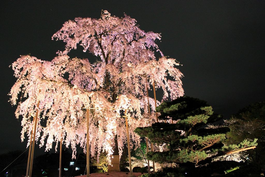 東寺(教王護国寺)