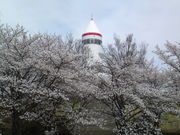 ꂢ̃Pbg^W]uRX^[v̓eʐ^1