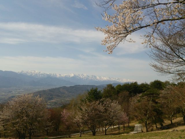 ��_����R�x�e�W�]��