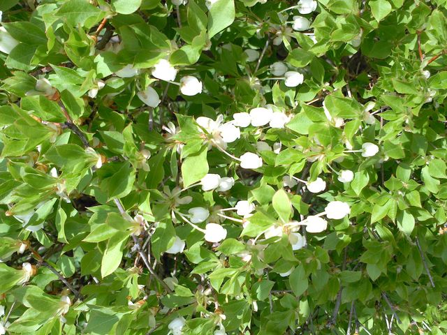 �h�E�_���c�c�W_�����c�@�뉀