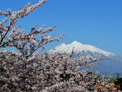 エスさんの岩木山（津軽富士）の投稿写真2