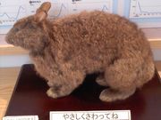 ͂QOn̉쐶یZ^[̓eʐ^1