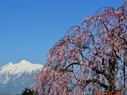 GX̊؎RiÌyxmj̓eʐ^1