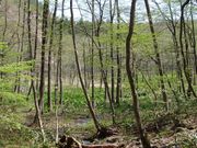 okei̐mc̃~YoVE̓eʐ^2