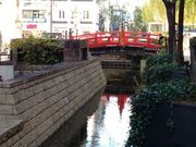 birurû͂܂⋴̓eʐ^1