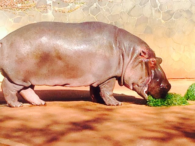 ���R���A����