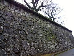 kingtut̕Ɖ~ւ̓eʐ^3