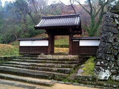 kingtut̕Ɖ~ւ̓eʐ^4