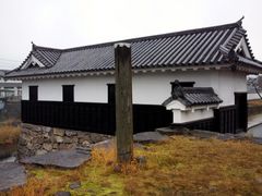 kingtut̕Ɖ~ւ̓eʐ^5