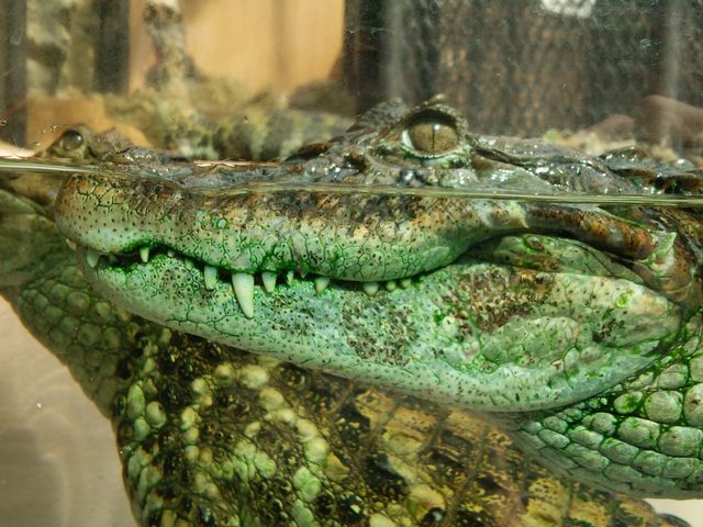 �M��o�i�i���j��