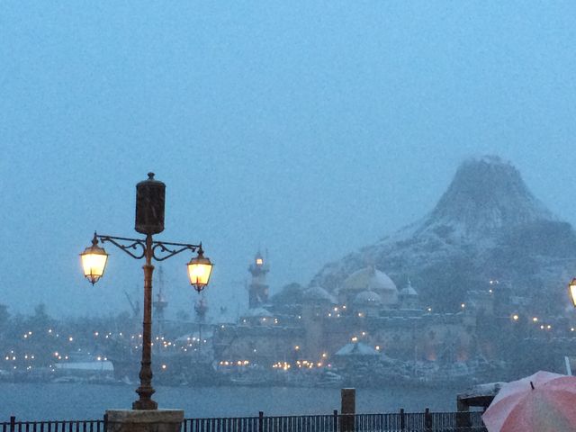 �����f�B�Y�j�[�V�[(R)