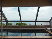 ͂܂񂳂̏F{i邨̓Ej̓eʐ^1