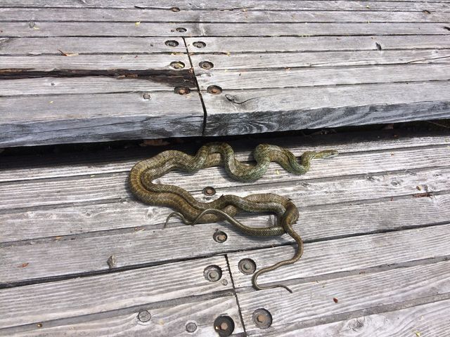 �ւ�2�C_�x┌Ή���