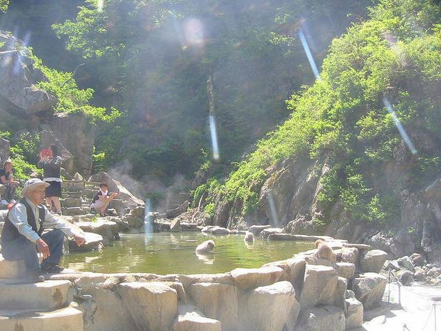 ���������Ȃ�_�n���J����