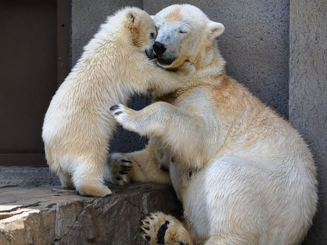 �u���ꂳ��V�ڂ���[�I�p_�~�R������