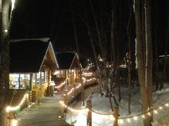 S̃VbsO[hujOeXvւ̓eʐ^1