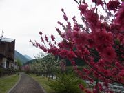 肱̓̉w@ ˏ͂Ȃ̓eʐ^1