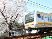 ݂ǂ肿񂳂̏h͌P̂̍̓eʐ^2