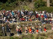 ݂񂳂̏Ht_Ђ̓eʐ^1