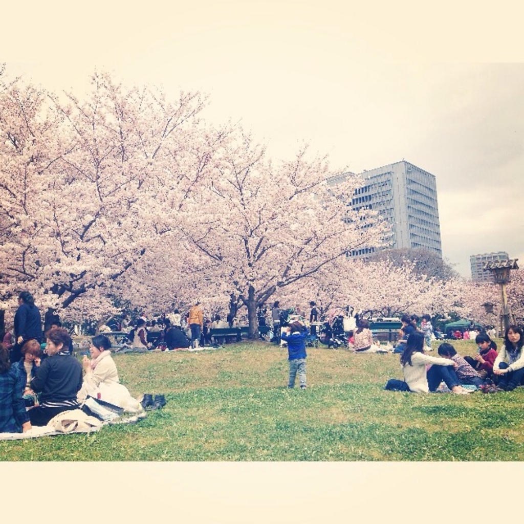 舞鶴公園
