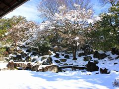 p7777777̚@ւ̓eʐ^4