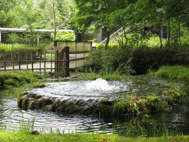 �������̗N����_�����Ȍ���