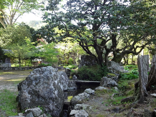 ǁ[̋iG׎뉀j̓eʐ^1