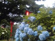 ܁[N̑R{ic_Ёj̓eʐ^1