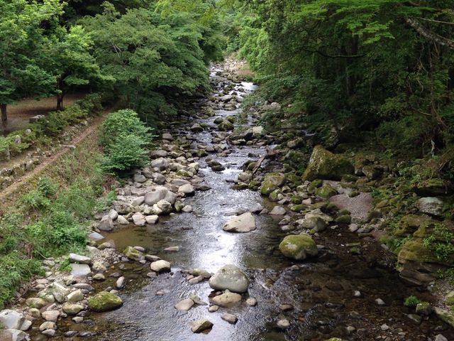 ��ɂȂ�Ƃ��̕ӂ�Ɍu����ь����܂�_�V��ق���Ղ�