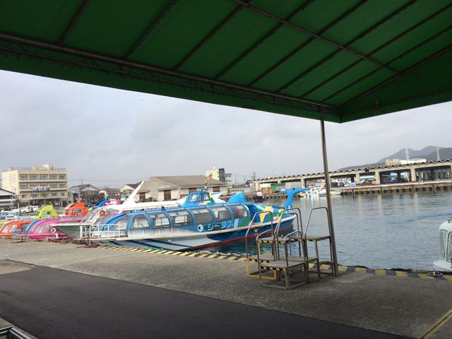 �����傫�߂ȑD���q�����Ă܂����B_�֖�C���A���D