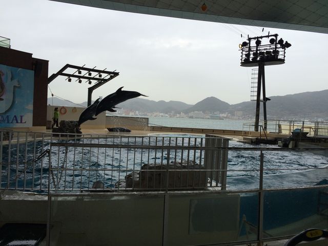 ڂ̑OjCJƂ́A2`3m̋߂Ō邱Ƃł܂B_֎ŝفEC