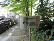 zin����̊o�����̓��e�ʐ^4