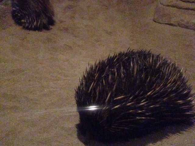 ���R���A����