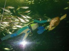 gуgg̓mr[`h&mቤւ̓eʐ^1